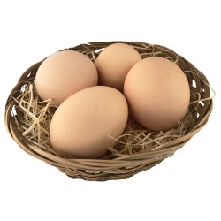 新鮮こだわり卵：国産鶏 名古屋コーチンたまご