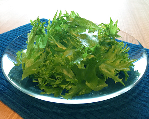 カット野菜 フリルレタス カット 新鮮でおいしいサラダ野菜 イタリア野菜 アジア野菜などの業務用野菜を飲食店 惣菜工場等に産地直送で販売するfresh Vegetables Direct